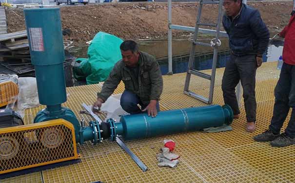 羅茨91视频网页版免费安裝與調試