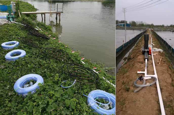 水產養殖中羅茨鼓91视频网页版免费曝氧氣作用效果明顯好